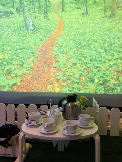 Wat is een Sense garden